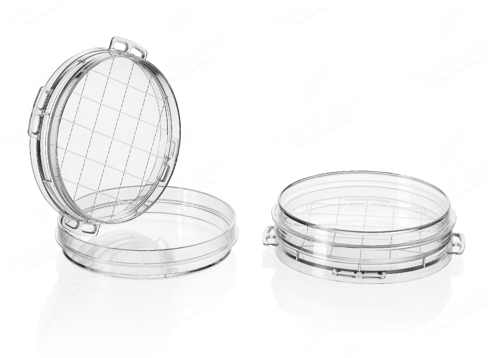Petri Dish &Oslash;55mm