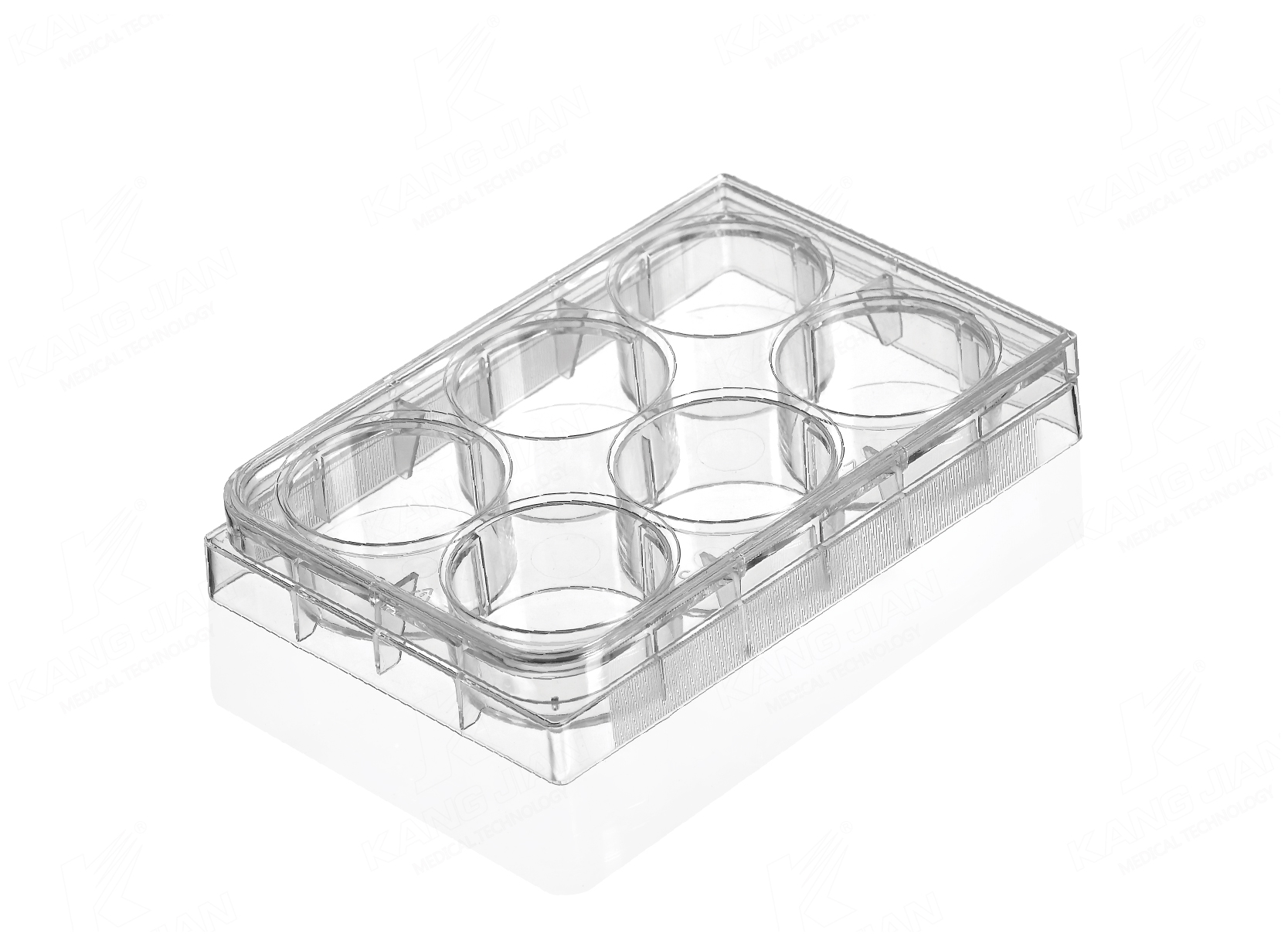 Multi Well Plate