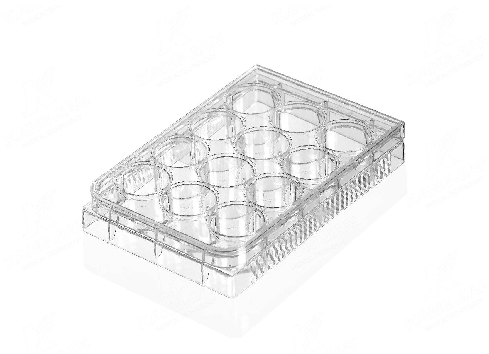 Multi Well Plate