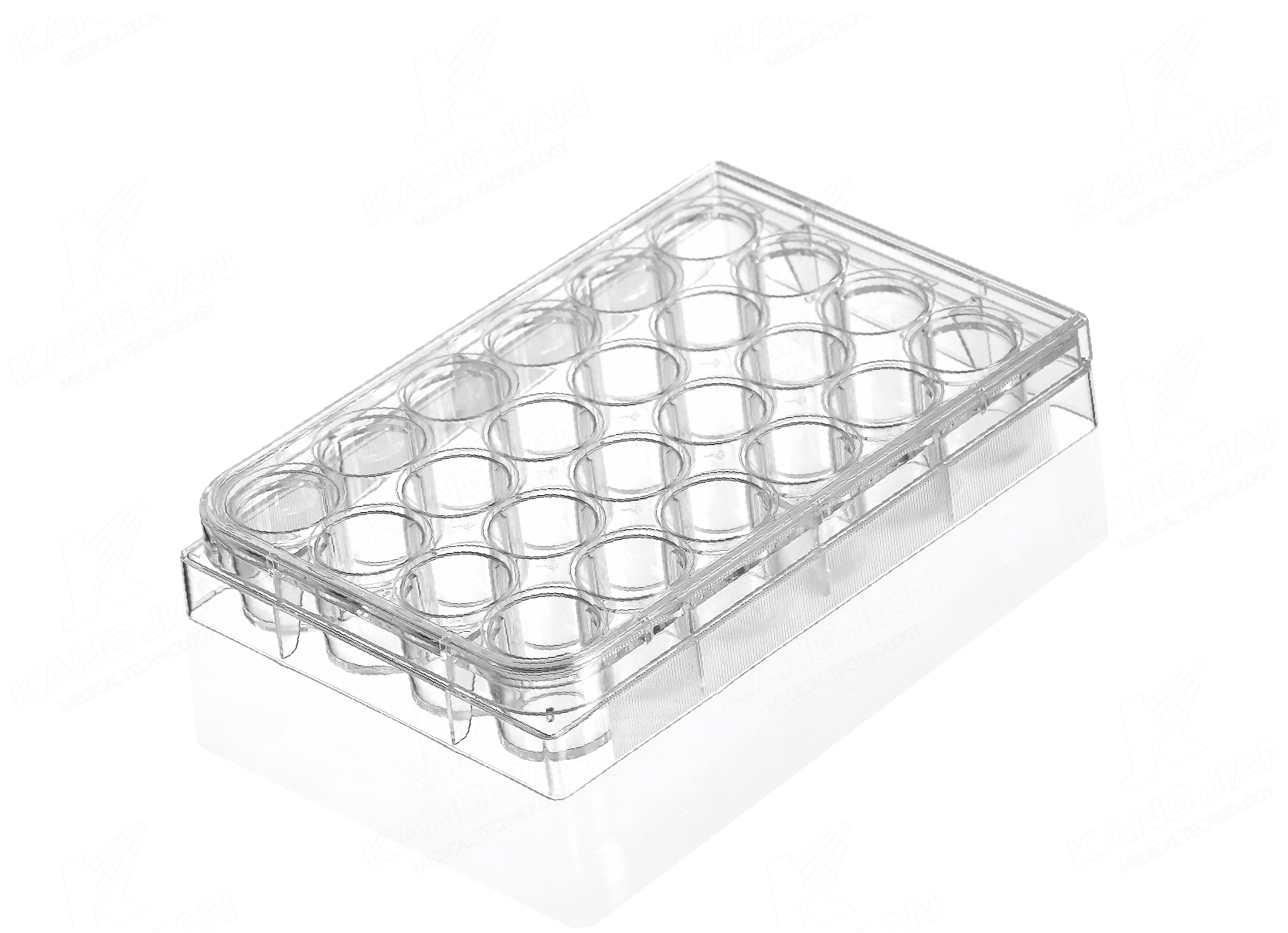 Multi Well Plate