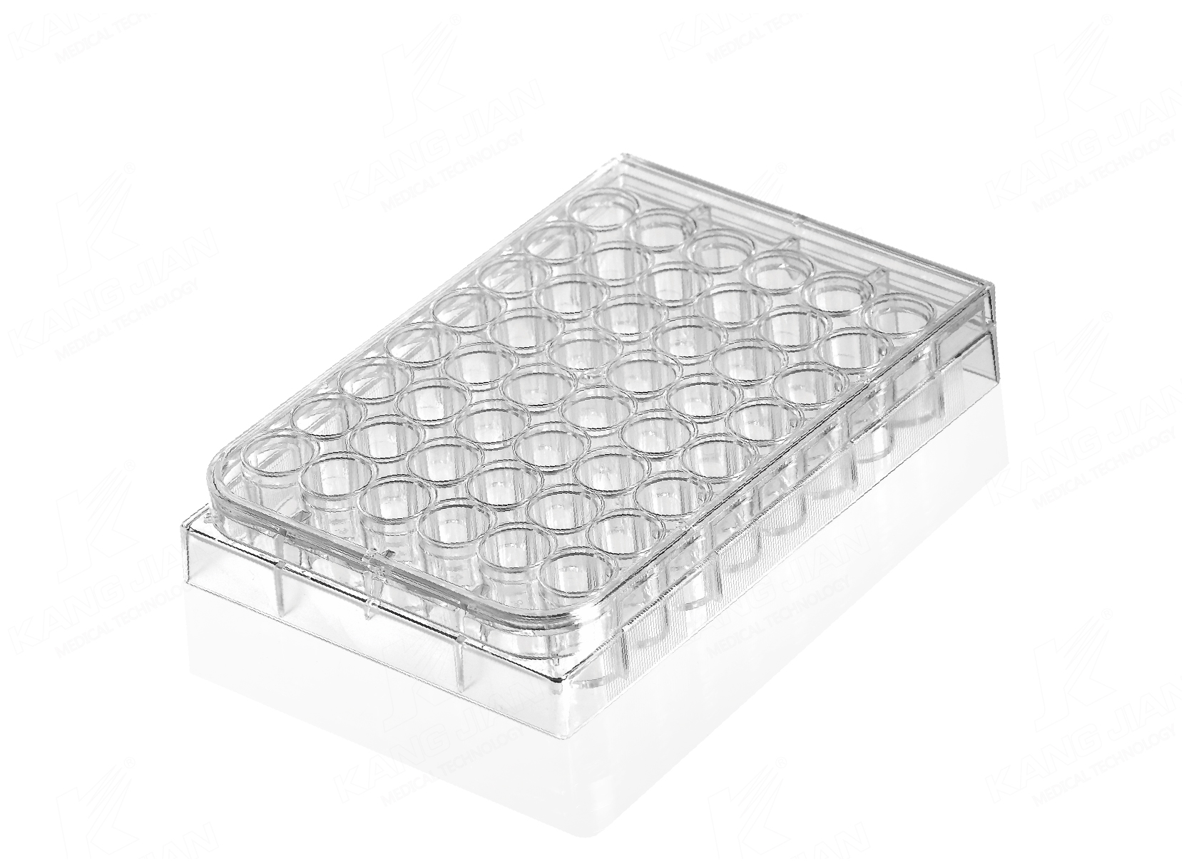 Multi Well Plate
