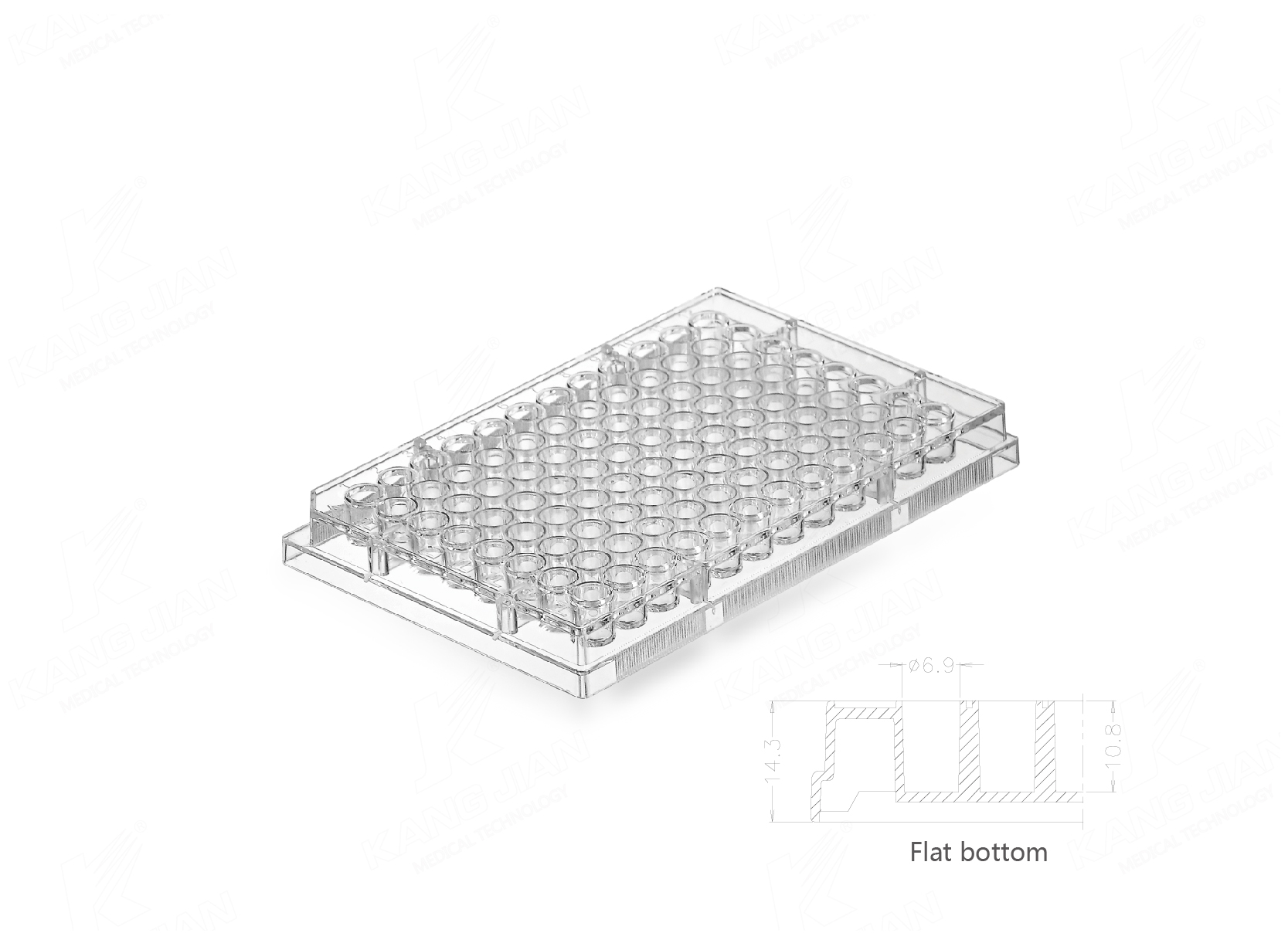 Multi Well Plate