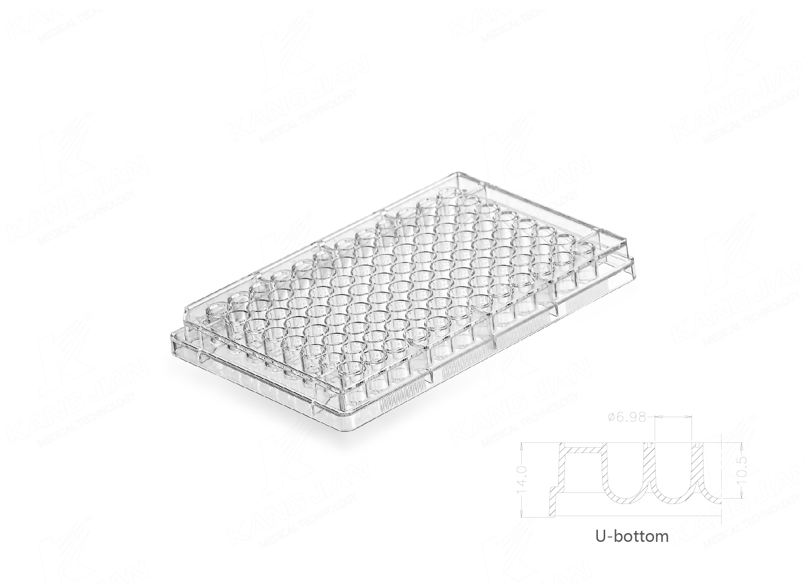 Multi Well Plate
