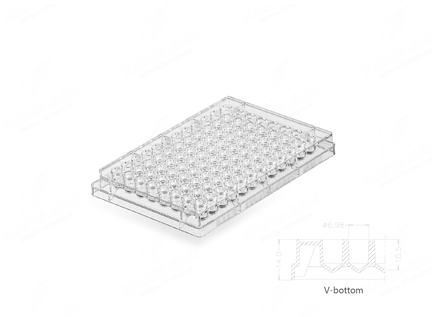 Multi Well Plate