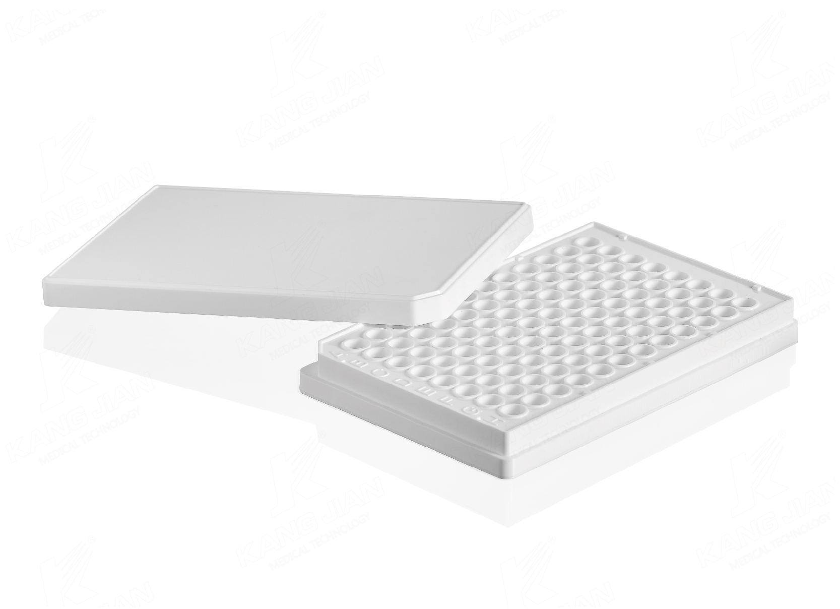 Multi Well Plate