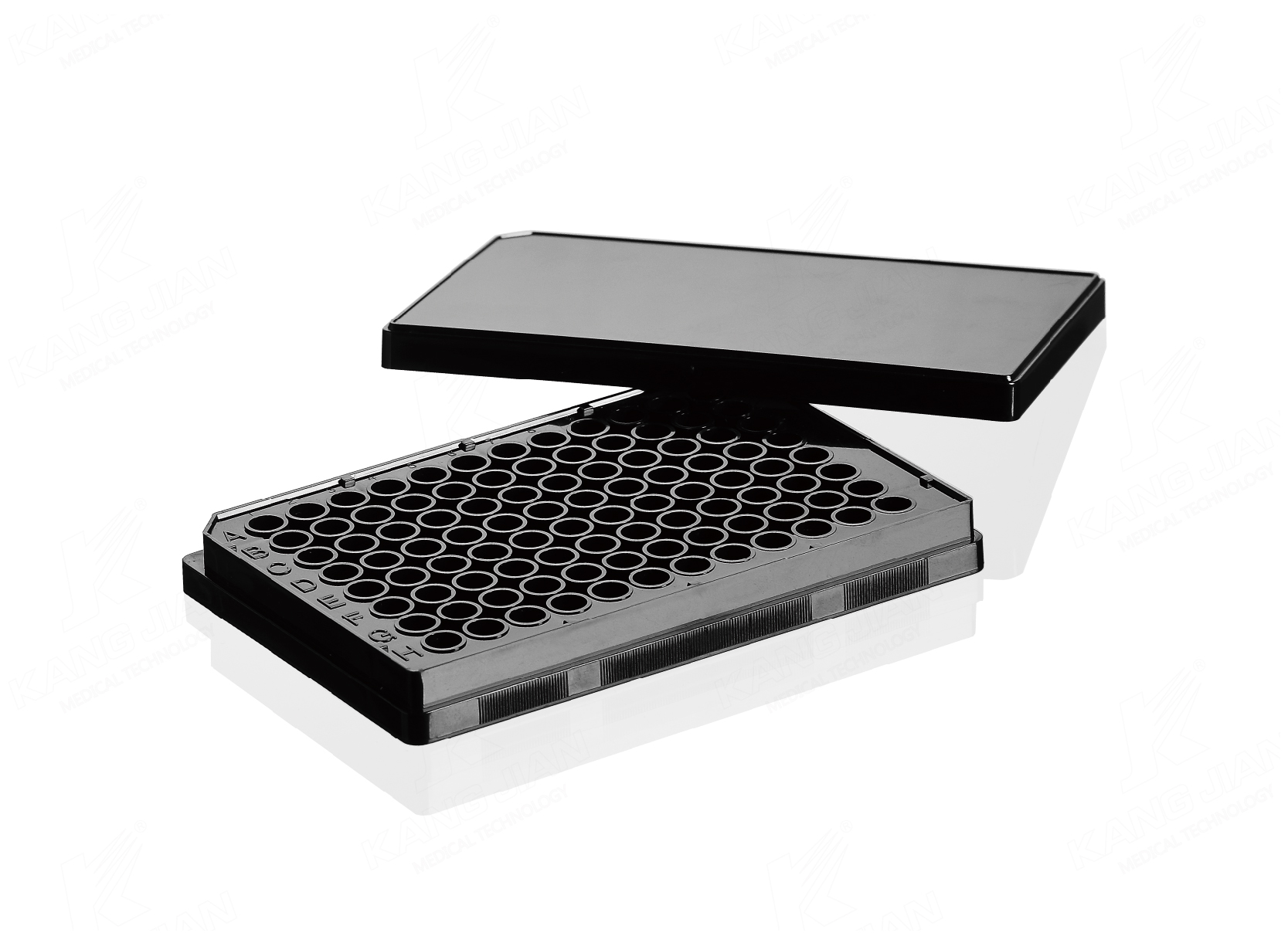 Multi Well Plate
