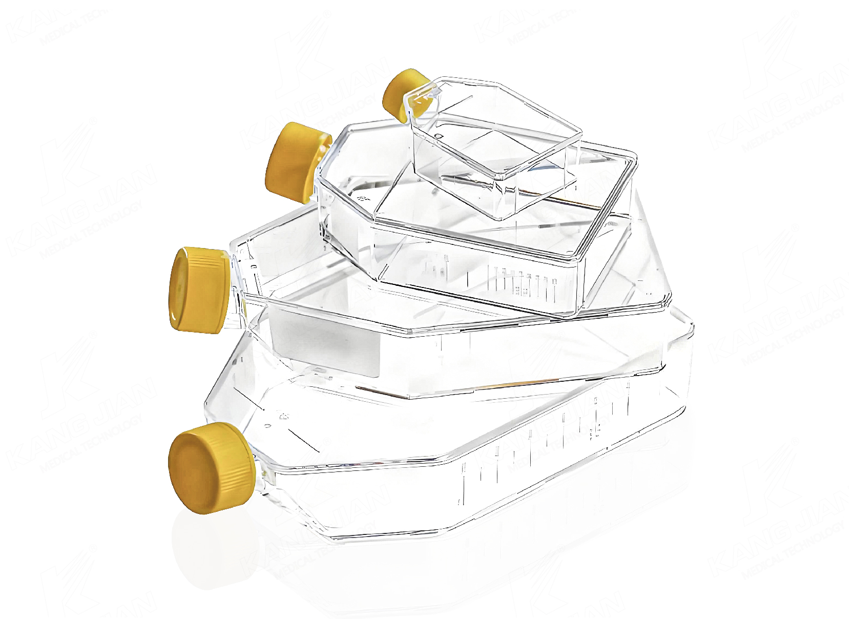 Cell Culture Flask