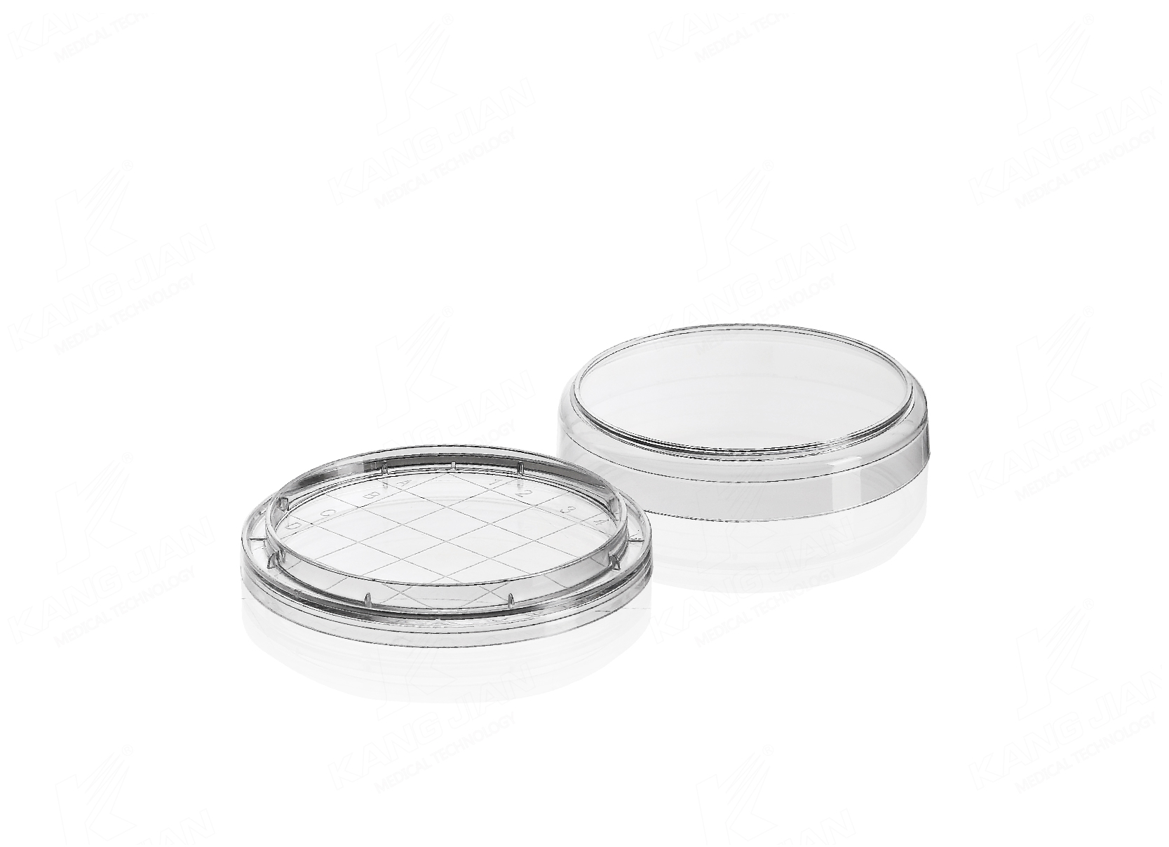 Petri Dish &Oslash;65mm