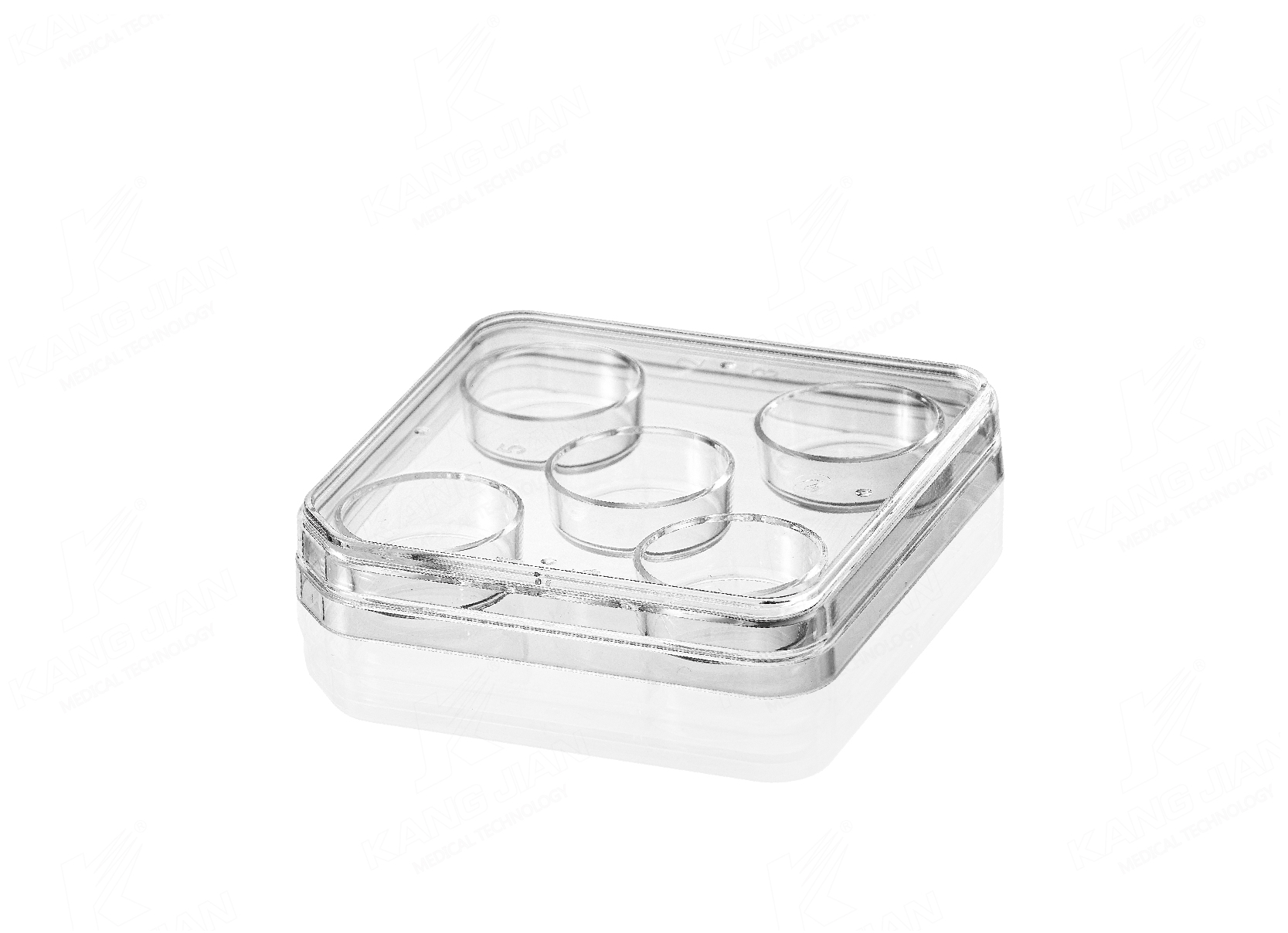 IVF 5-Well Dish