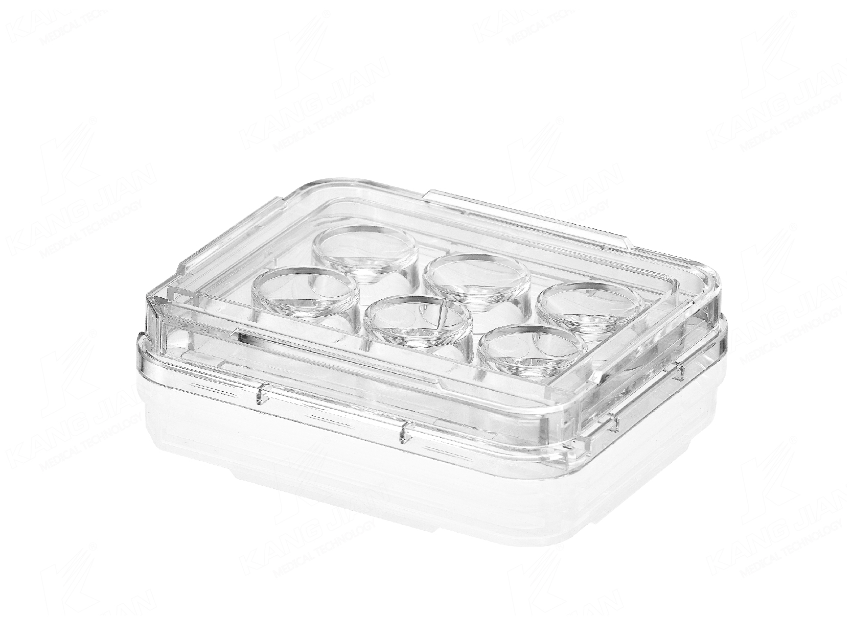 IVF 6-Well Dish