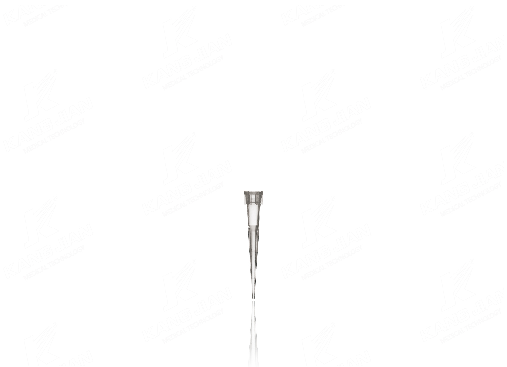 Pipette Tip 10&mu;l