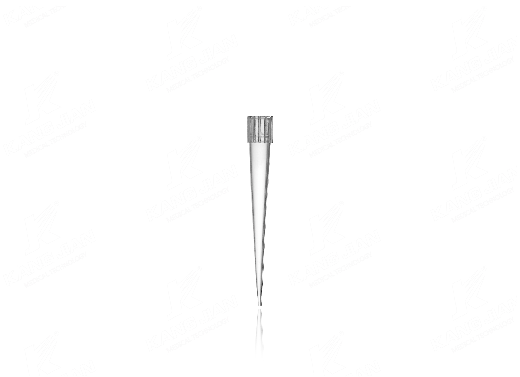 Pipette Tip 250&mu;L