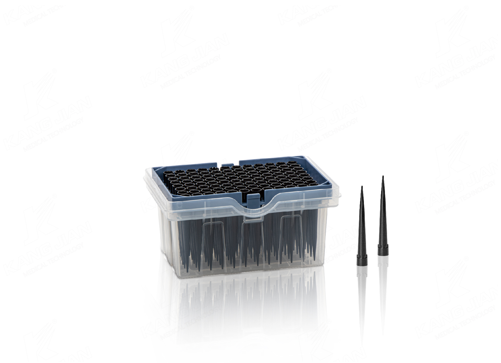 Boxed tips for HAMILTON