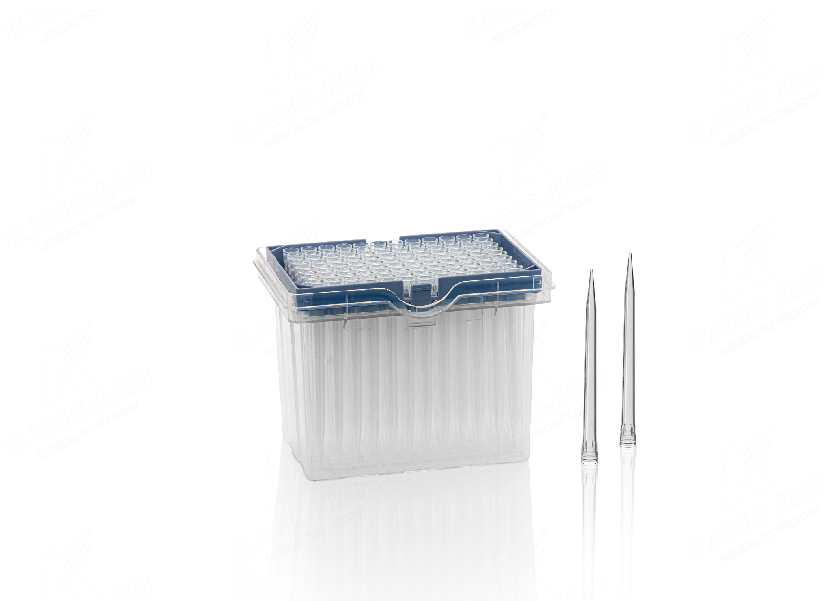 Boxed tips for HAMILTON