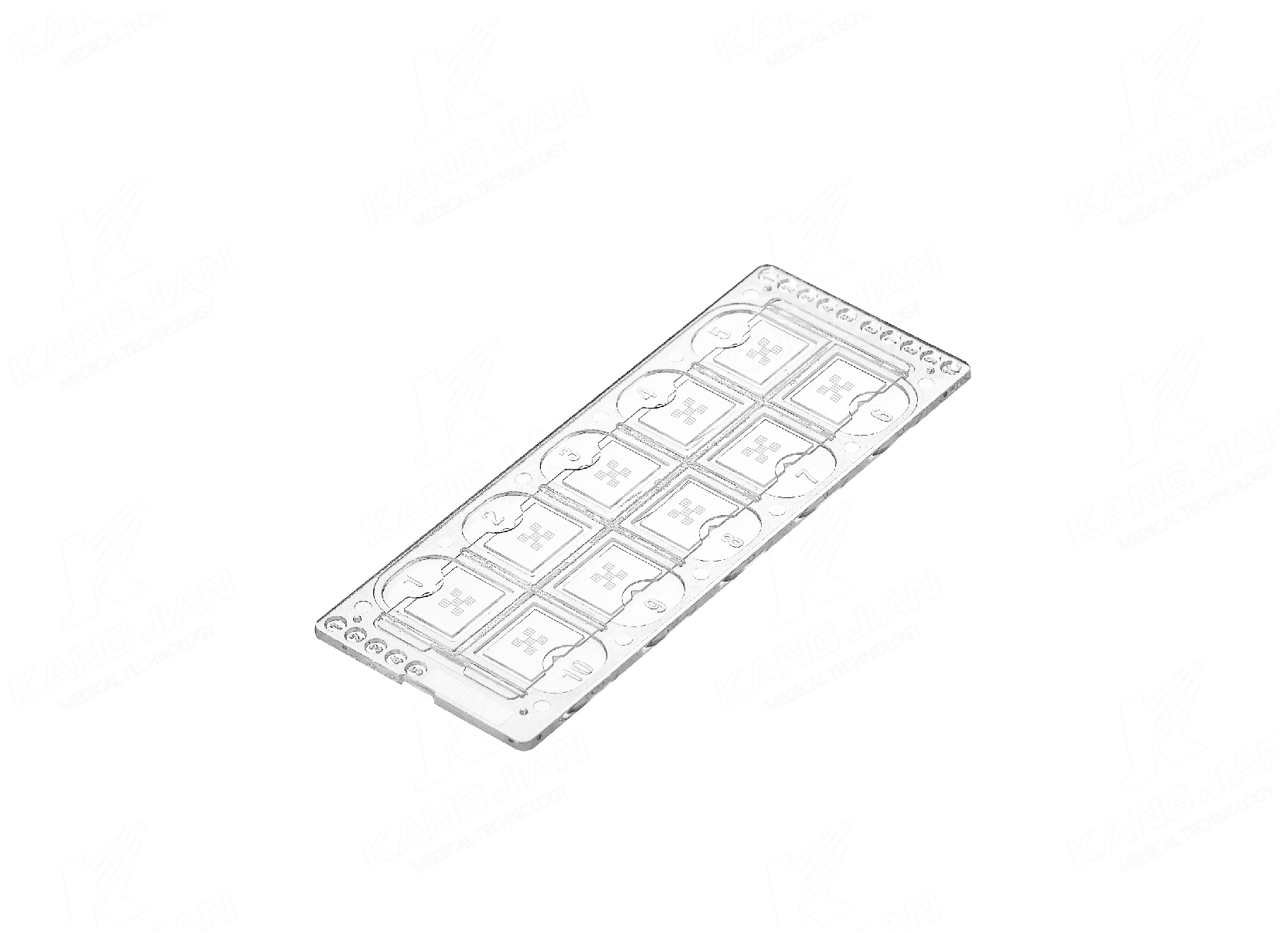 Urinalysis Microscope Slide