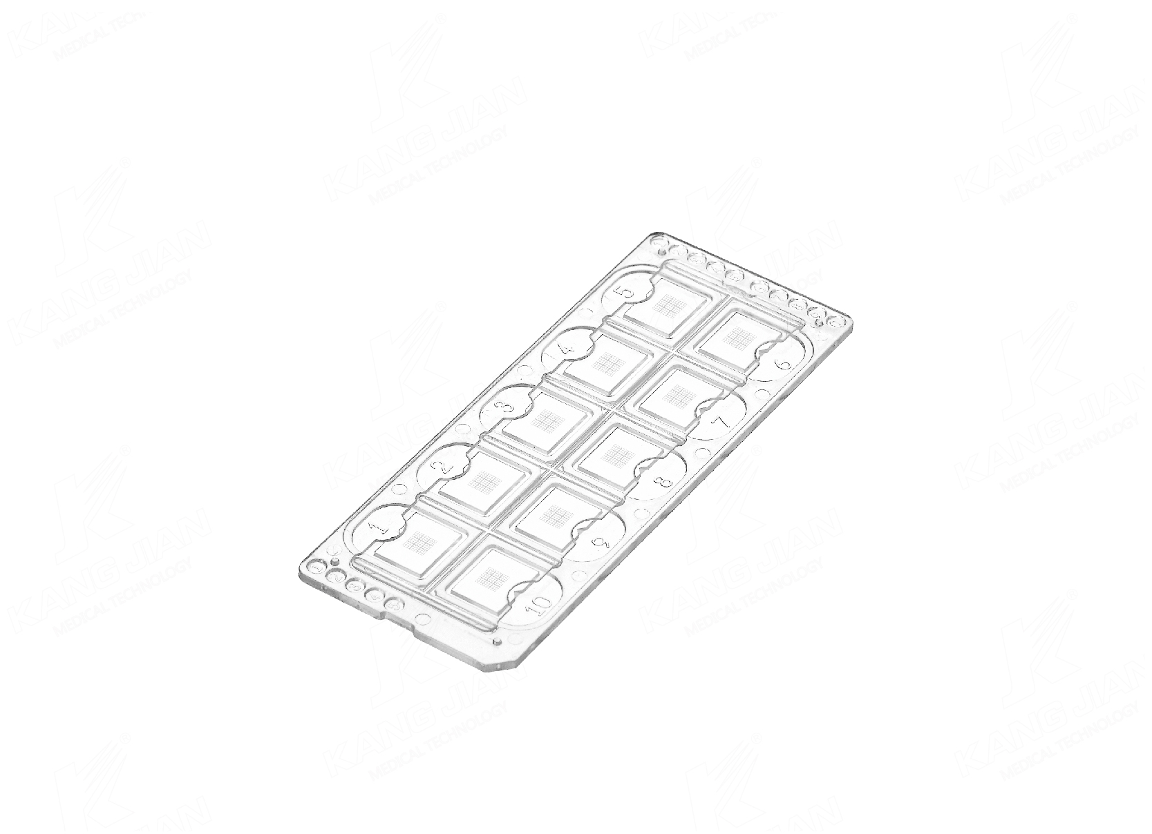 Urinalysis Microscope Slide