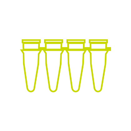 PCR transparent reaction tube
